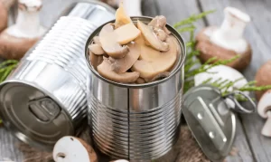 Can Dogs Eat canned Mushrooms?