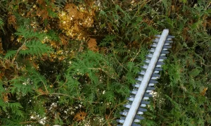 How to Clean Your Hedge Trimmer Blades?
