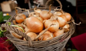 Pick Full Bulb Onions