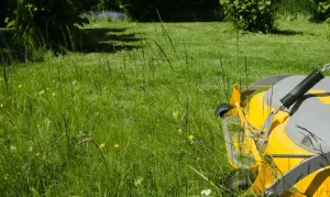 Some Tips to apply Before Mowing the Tall Grasses