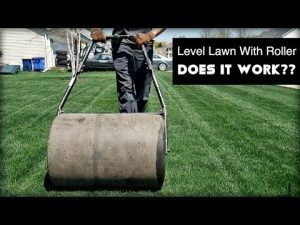 
Why & When You Should Not Roll Your Lawn?