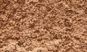 Clay and loam soils