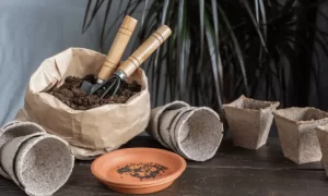 Where can you store potting soil?