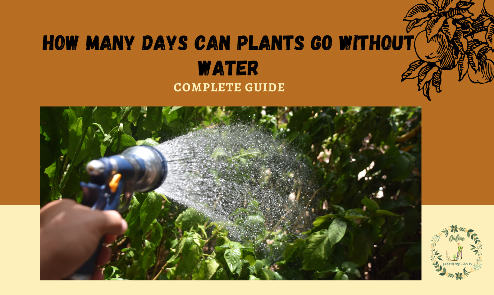 How Many Days Can Plants Go Without Water?