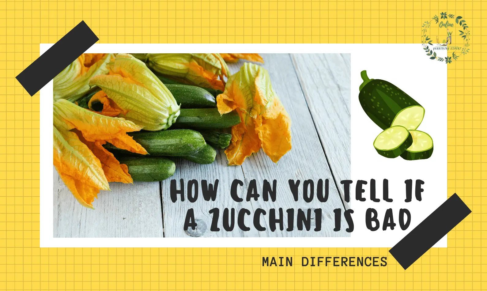 How Can You Tell if a Zucchini is Bad?