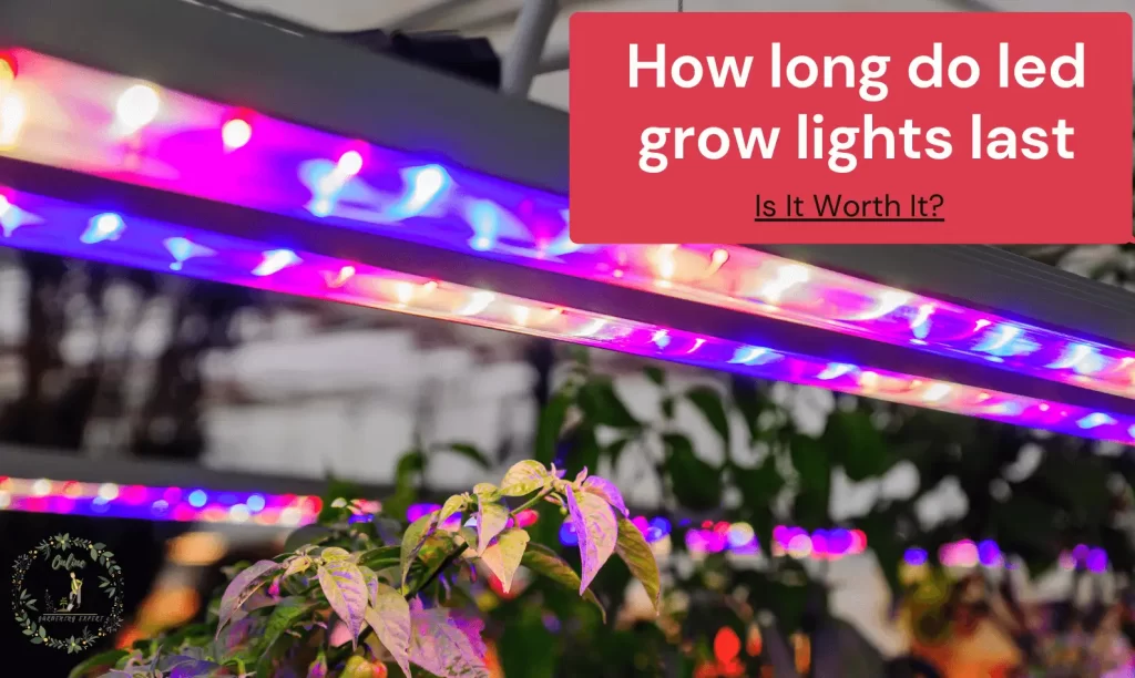 How Long Do LED Grow Lights Last? Complete Guide