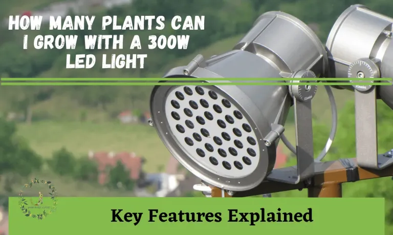 How Many Plants Can I Grow with a 300w LED Light?