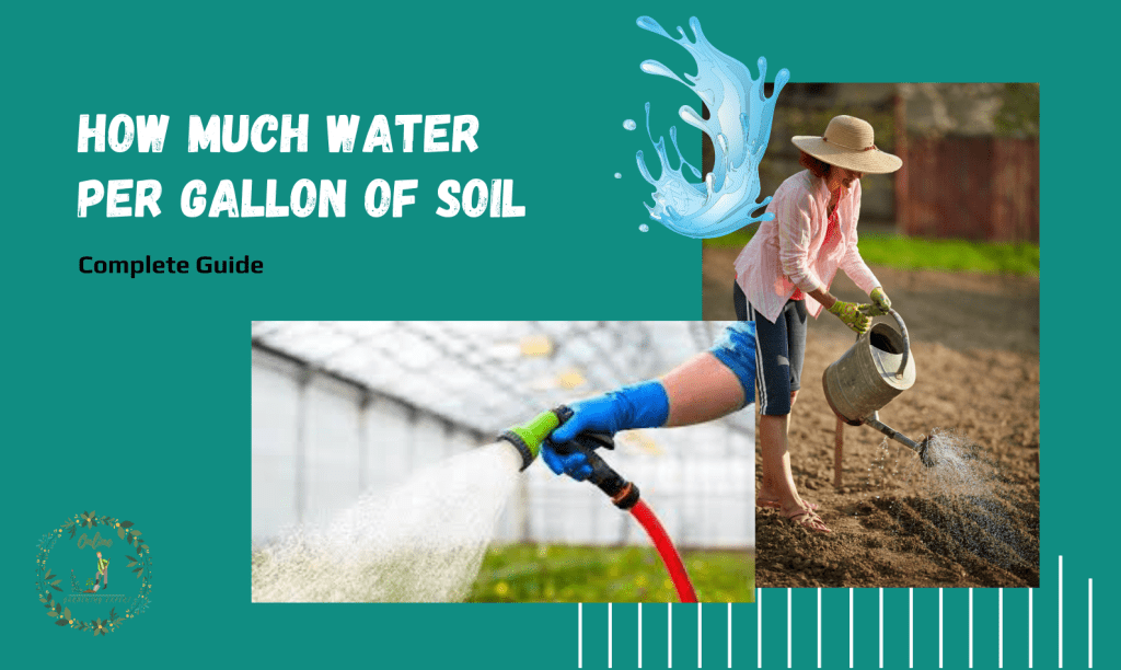 How Much Water Per Gallon of Soil? Complete Guide