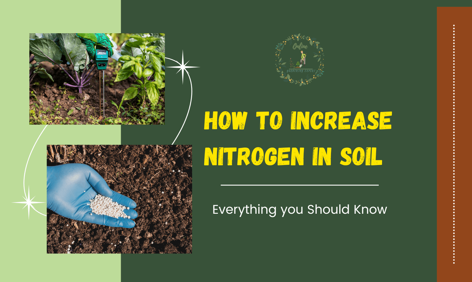 How to Increase Nitrogen in Soil?