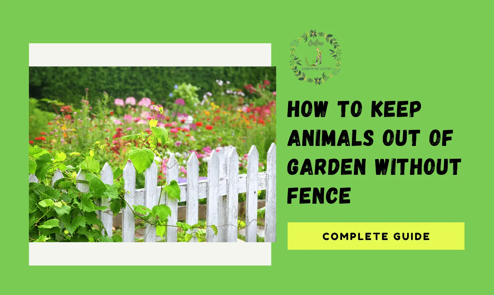 How to Keep Animals Out of Garden Without Fence?