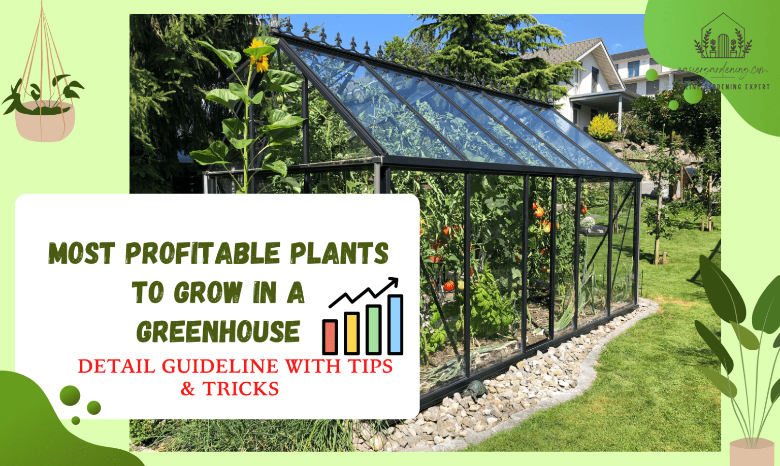 Most Profitable Plants To Grow In A Greenhouse Ultimate Guide