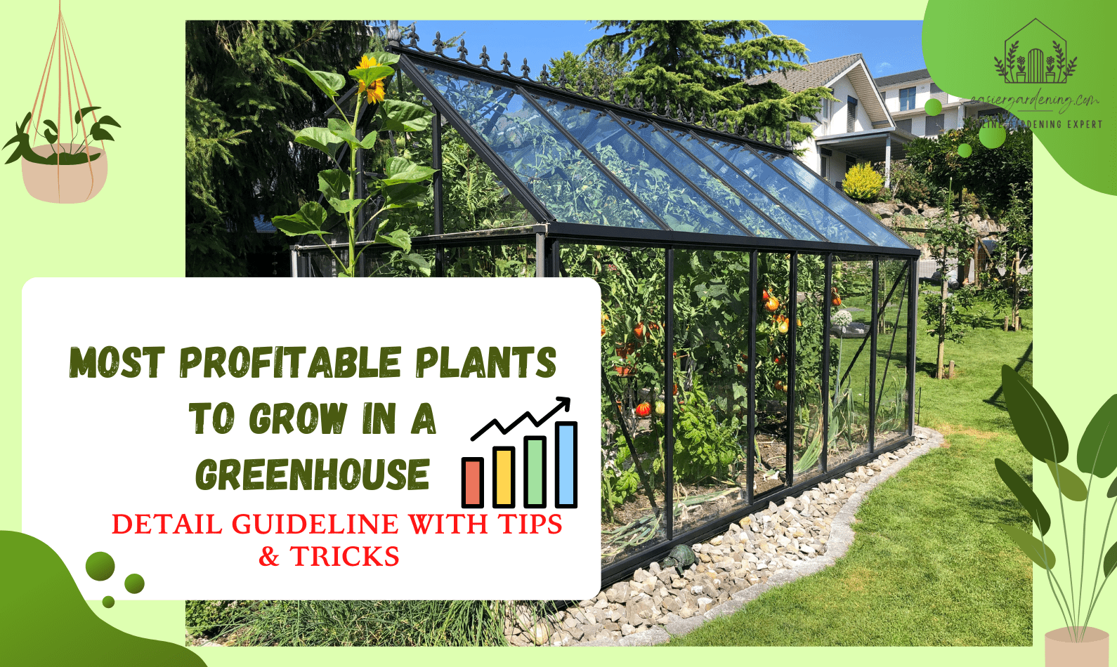 Most Profitable Plants To Grow In A Greenhouse