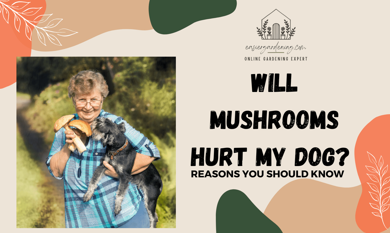 Will Mushrooms Hurt My Dog?