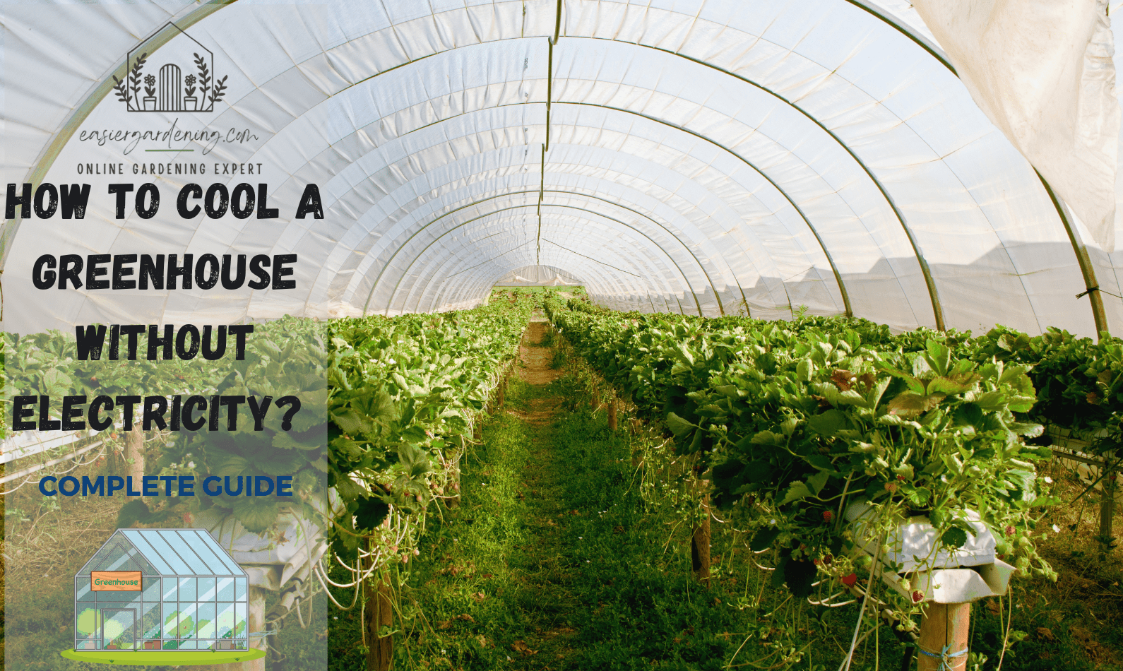 How to Cool a Greenhouse without Electricity?