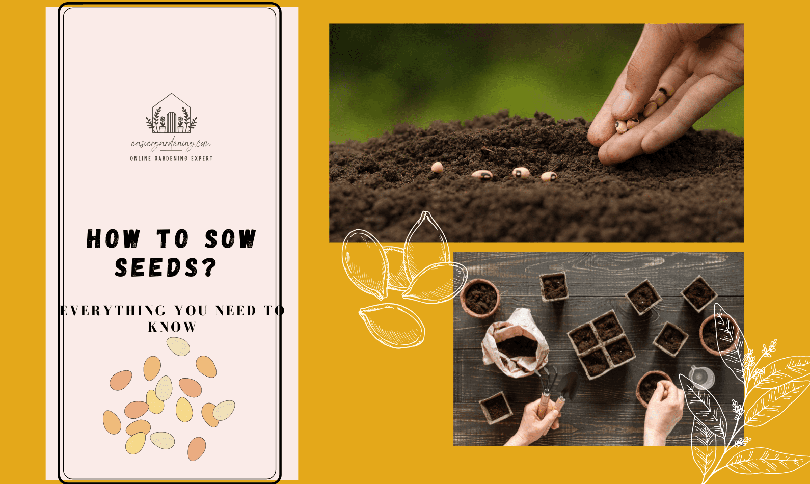 How To Sow Seeds?