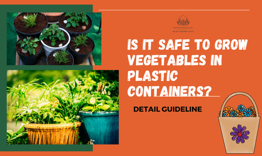 Is It Safe To Grow Vegetables In Plastic