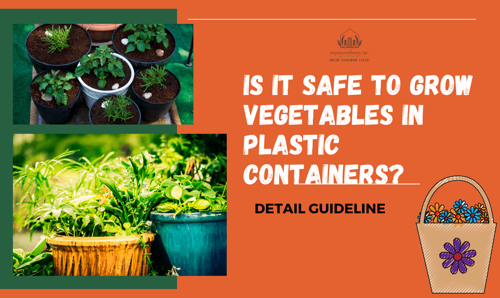 Is It Safe to Grow Vegetables in Plastic Containers?