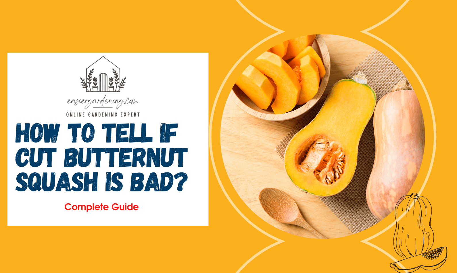 How to Tell If Cut Butternut Squash Is Bad?