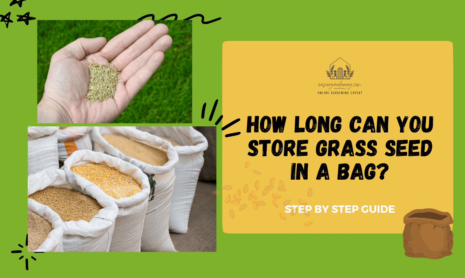 How Long can you Store Grass Seed in a Bag?