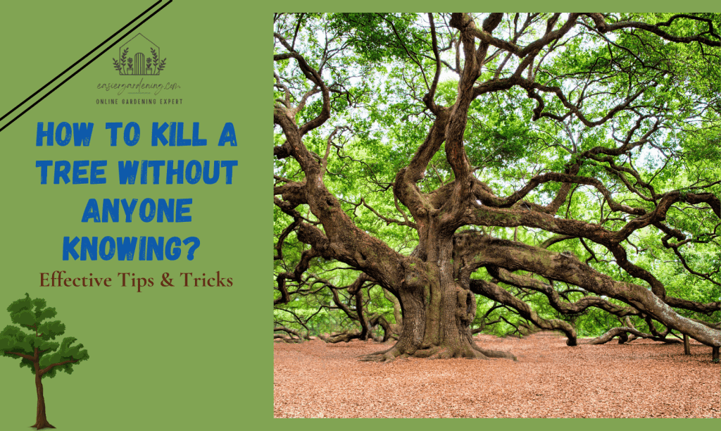 How to Kill a Tree Without Anyone Knowing? Tips & Tricks