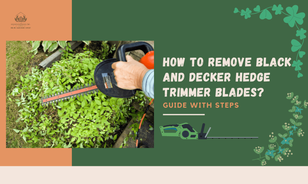 how-to-remove-black-and-decker-hedge-trimmer-blades-guide