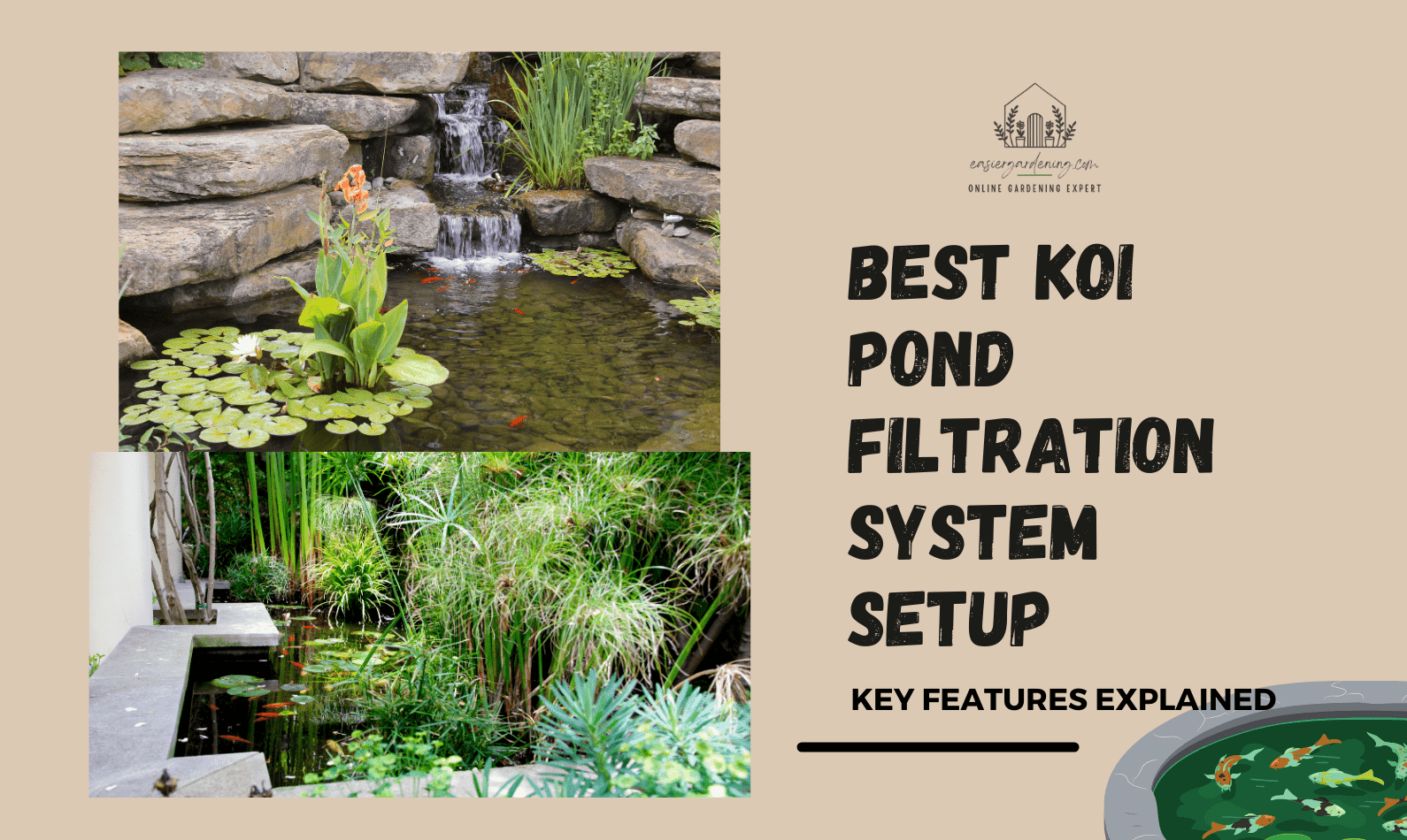 Best Koi Pond Filtration System Setup