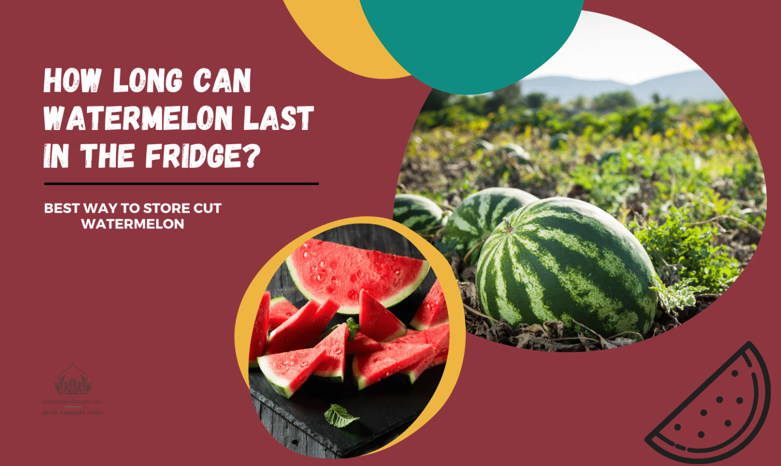 How Long can Watermelon Last in the Fridge? Best Way to Store