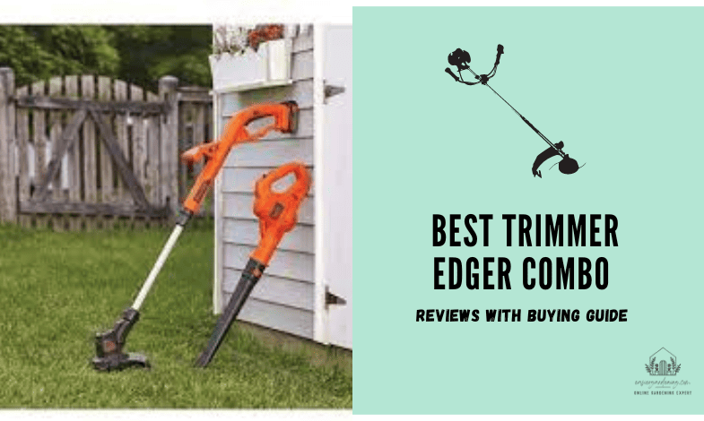 Best Trimmer Edger Combo