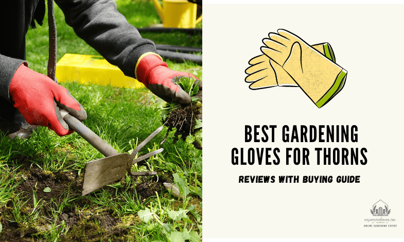 Best Gardening Gloves for Thorns