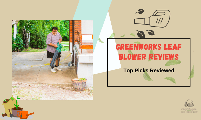 Greenworks Leaf Blower Reviews