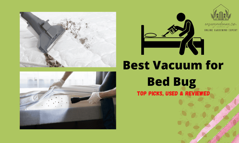 Best Vacuum for Bed Bug