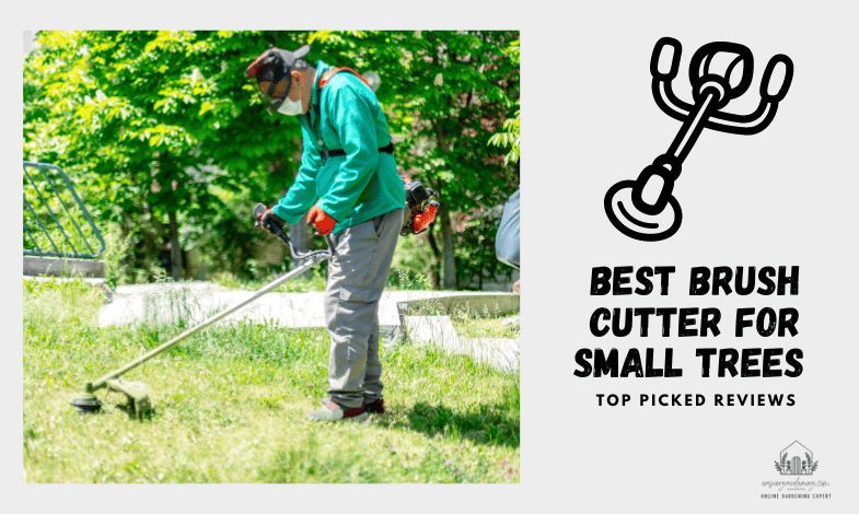 Best Brush Cutter For Small Trees