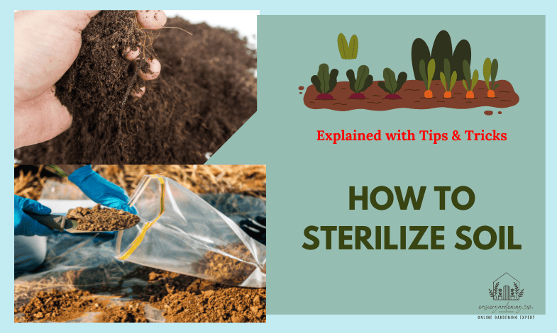 How to Sterilize Soil