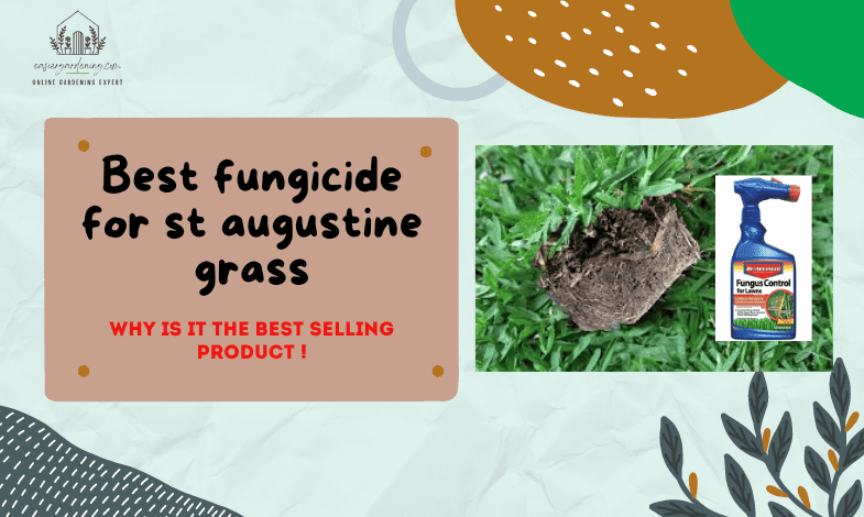 Best Fungicide for St Augustine Grass
