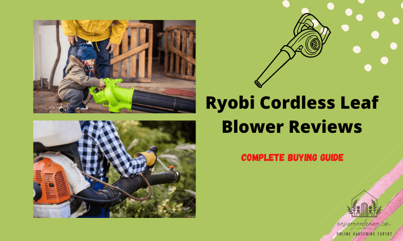 Ryobi Cordless Leaf Blower Reviews