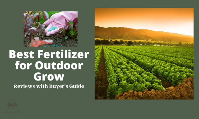 Best Fertilizer for Outdoor Grow