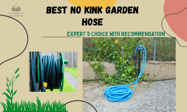 Best No Kink Garden Hose