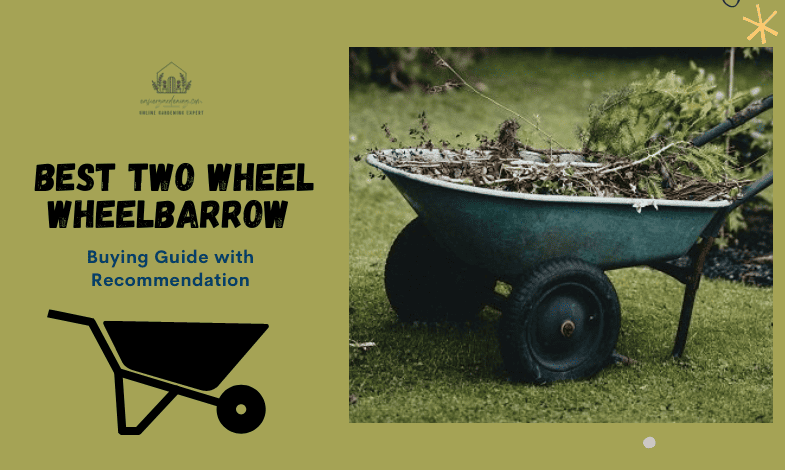 Best Two Wheel Wheelbarrow