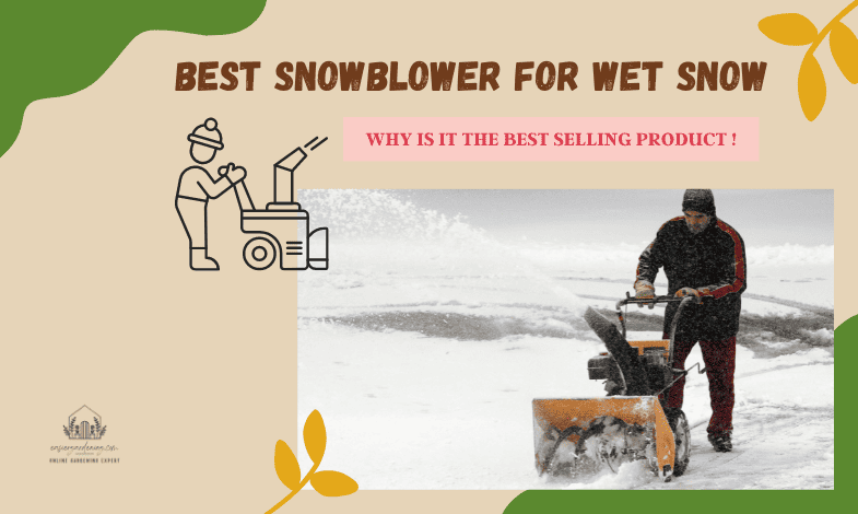 Best Snowblower for Wet Snow