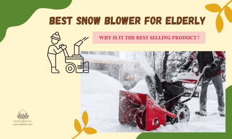 Best Snow Blowers for the Elderly