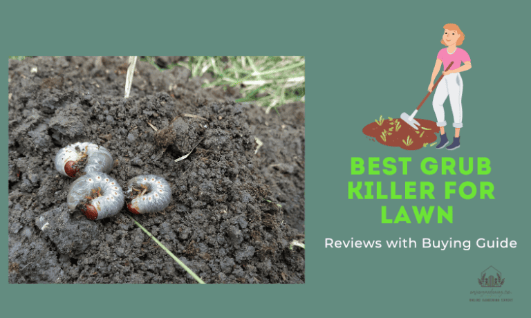 Best Grub Killer For Lawn 2023 Top Picks Used And Reviewed