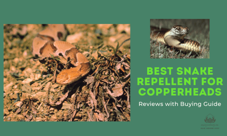 Best Snake Repellent for Copperheads: Top Picks Reviewed