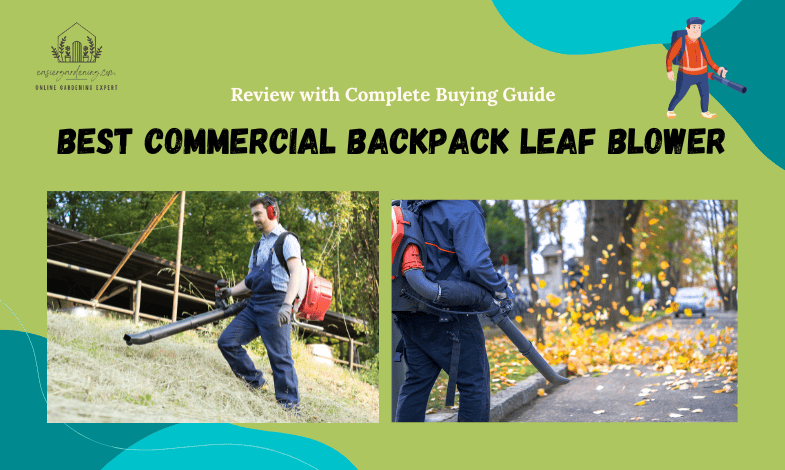 Best Commercial Backpack Leaf Blower
