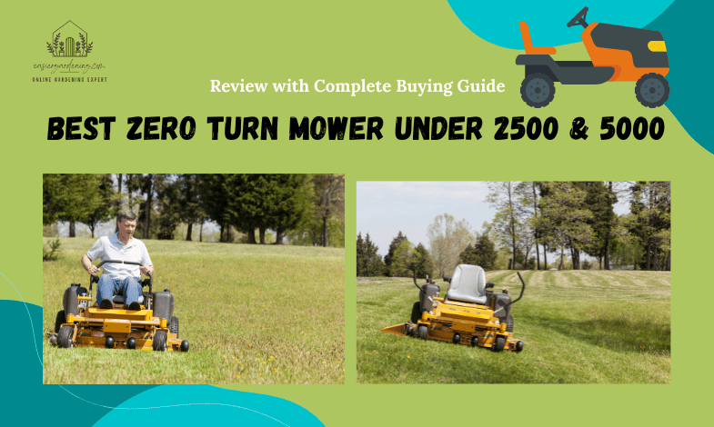 Best Zero Turn Mower Under 2500 & 5000