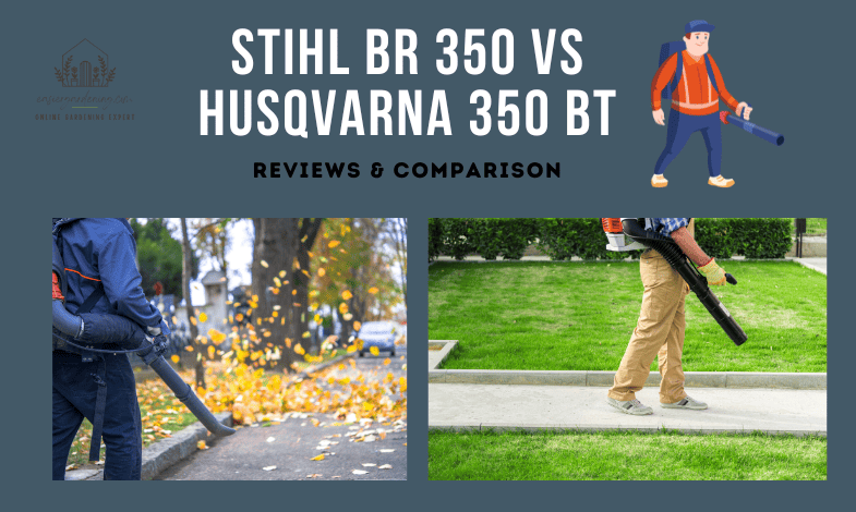 Stihl BR 350 vs Husqvarna 350 BT