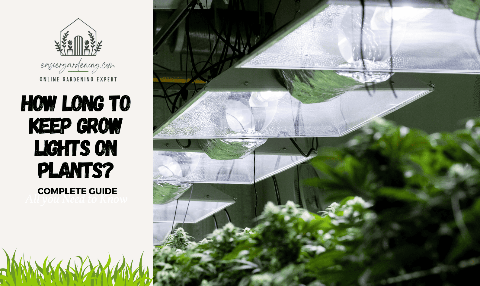 How Long To Keep Grow Lights On Plants Complete Guide