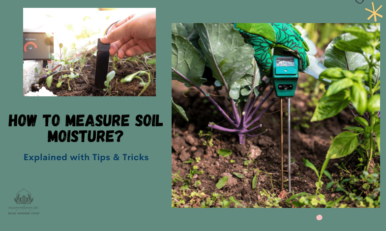 How to Measure Soil Moisture?