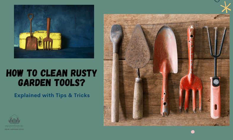 How to Clean Rusty Garden Tools